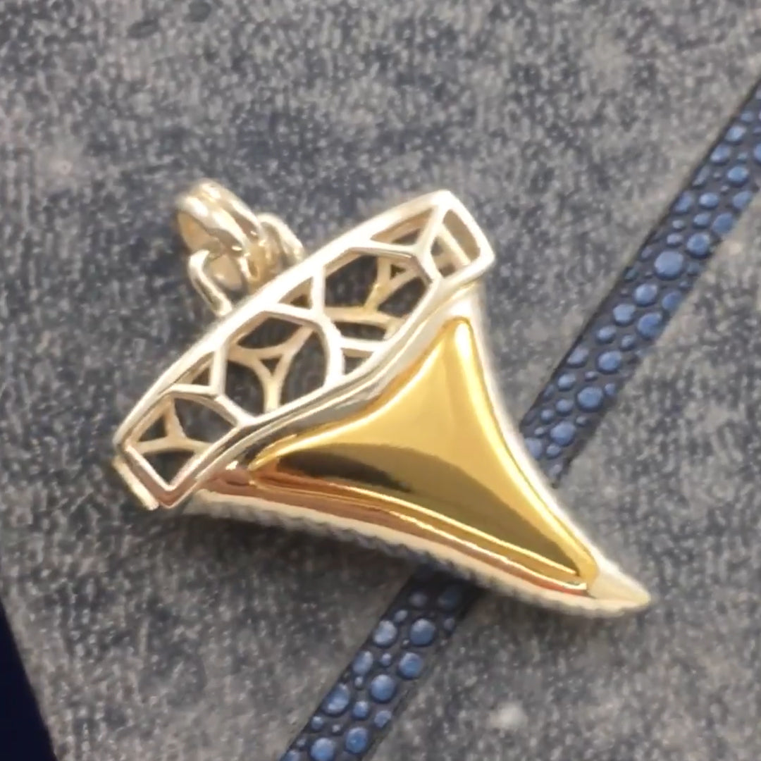 Window to Universe Shark Tooth Silver and 14k gold accents Pendant MPD5047