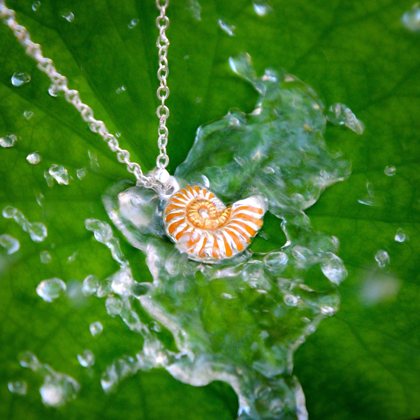 DiveSilver Nautilus Shell Sterling Silver with 14K Gold Accent Pendant MPD6335