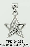 The Celtic Star Silver Pendant TPD4273