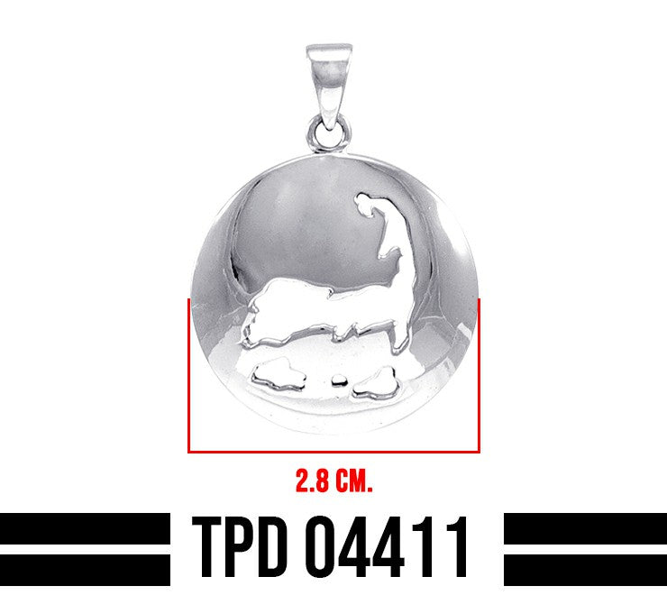 Cape Cod Medallion Sterling Silver Pendant TPD4411