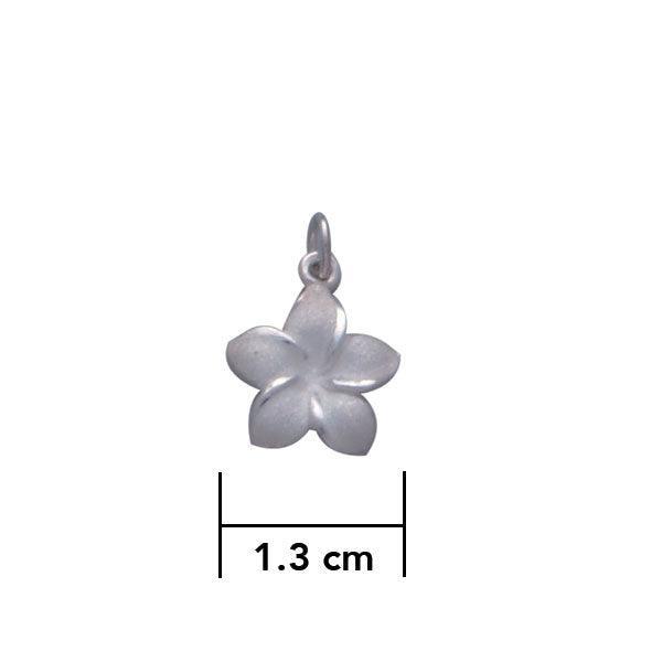 Plumeria - Hawaii National Flower Silver ฺCharm TC904 - peterstone.dropshipping