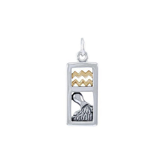 Aquarius Silver and Gold Charm MCM293