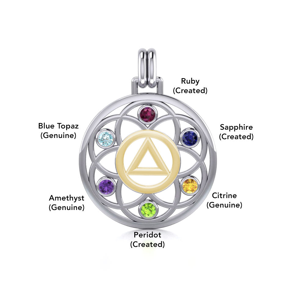 Flower of Life with AA Symbol Sterling Silver with 14K Gold Vermeil Accent Pendant MPD6378