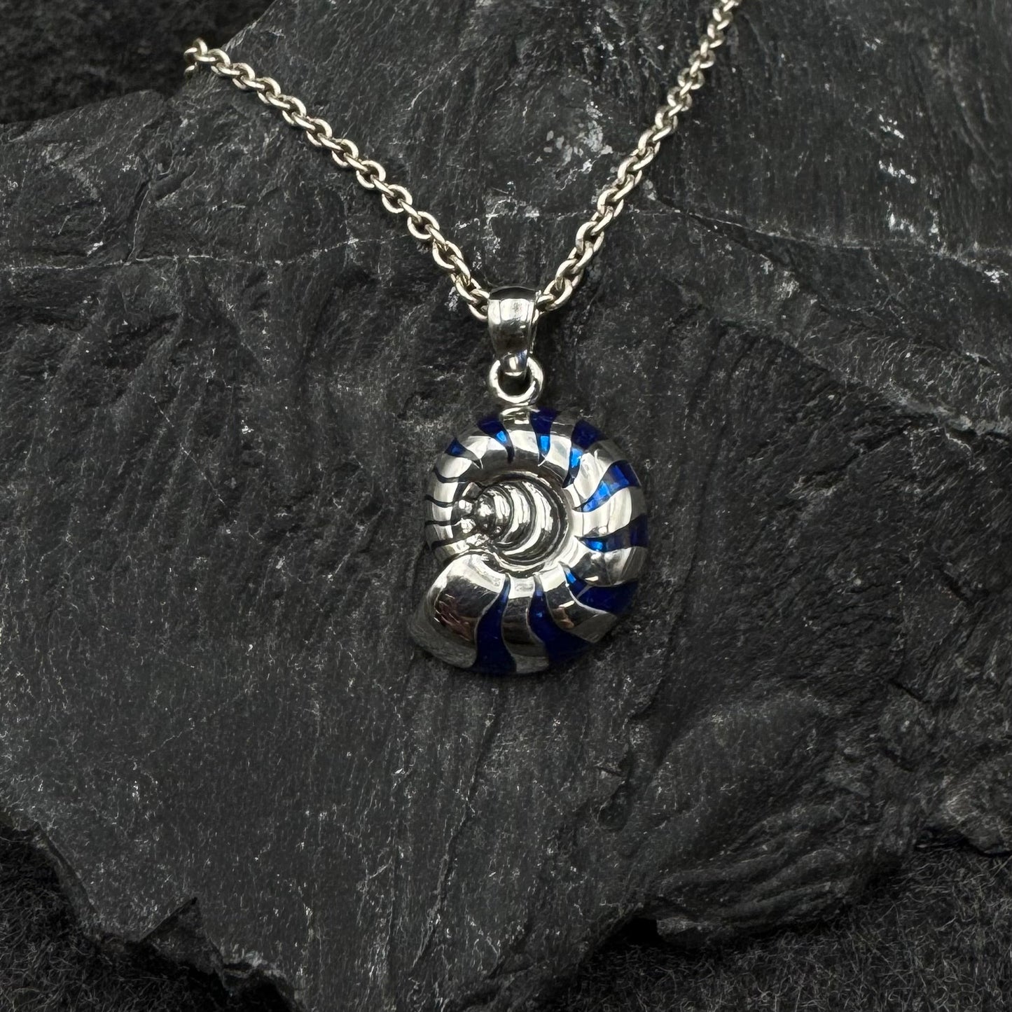 Charmed by the Rhythmic Spiral Sterling Silver Nautilus Pendant TP3106