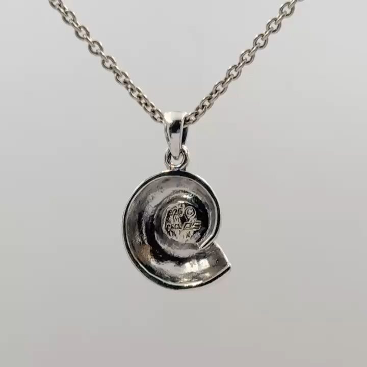 Charmed by the Rhythmic Spiral Sterling Silver Nautilus Pendant TP3106