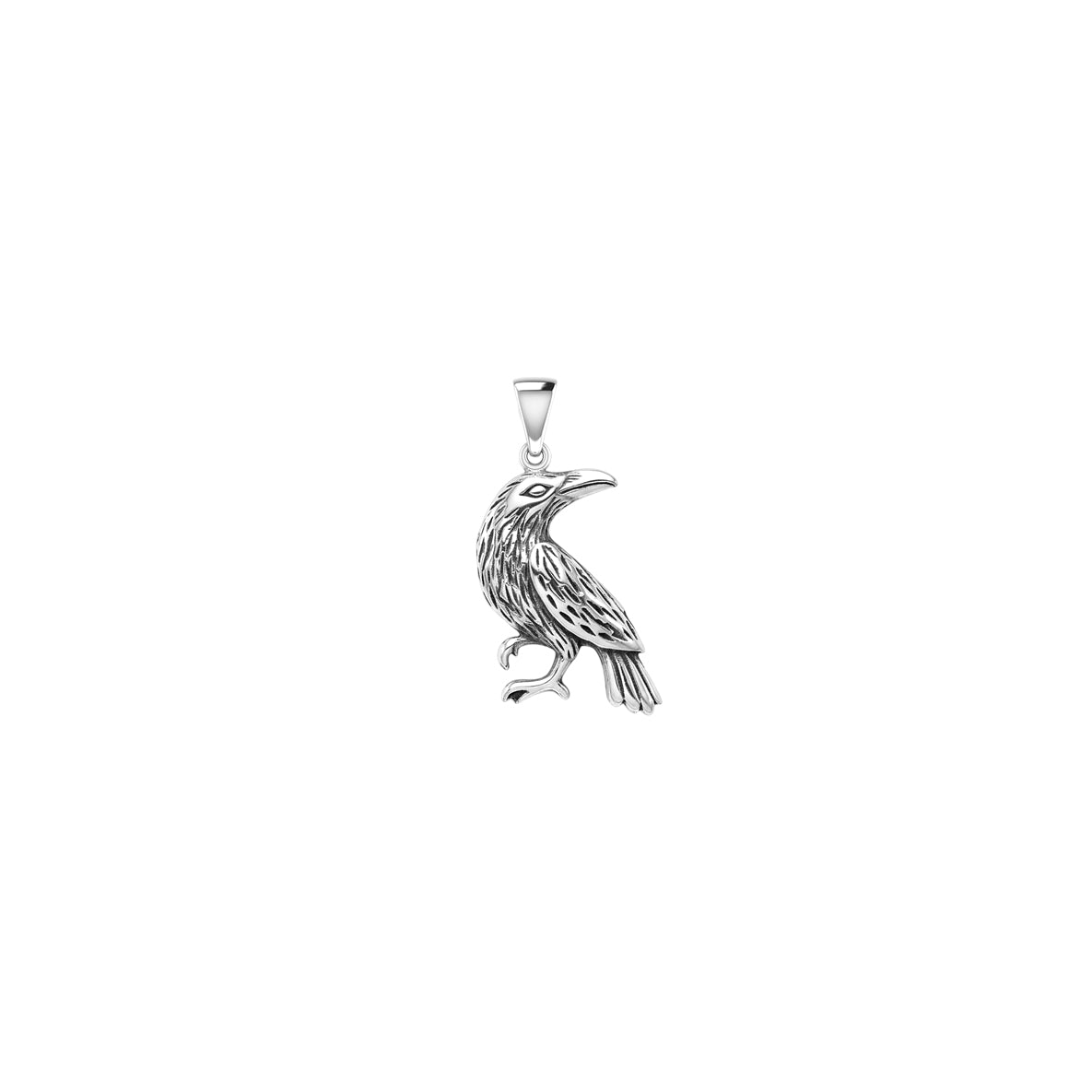 Small Raven Silver Pendant TPD5413