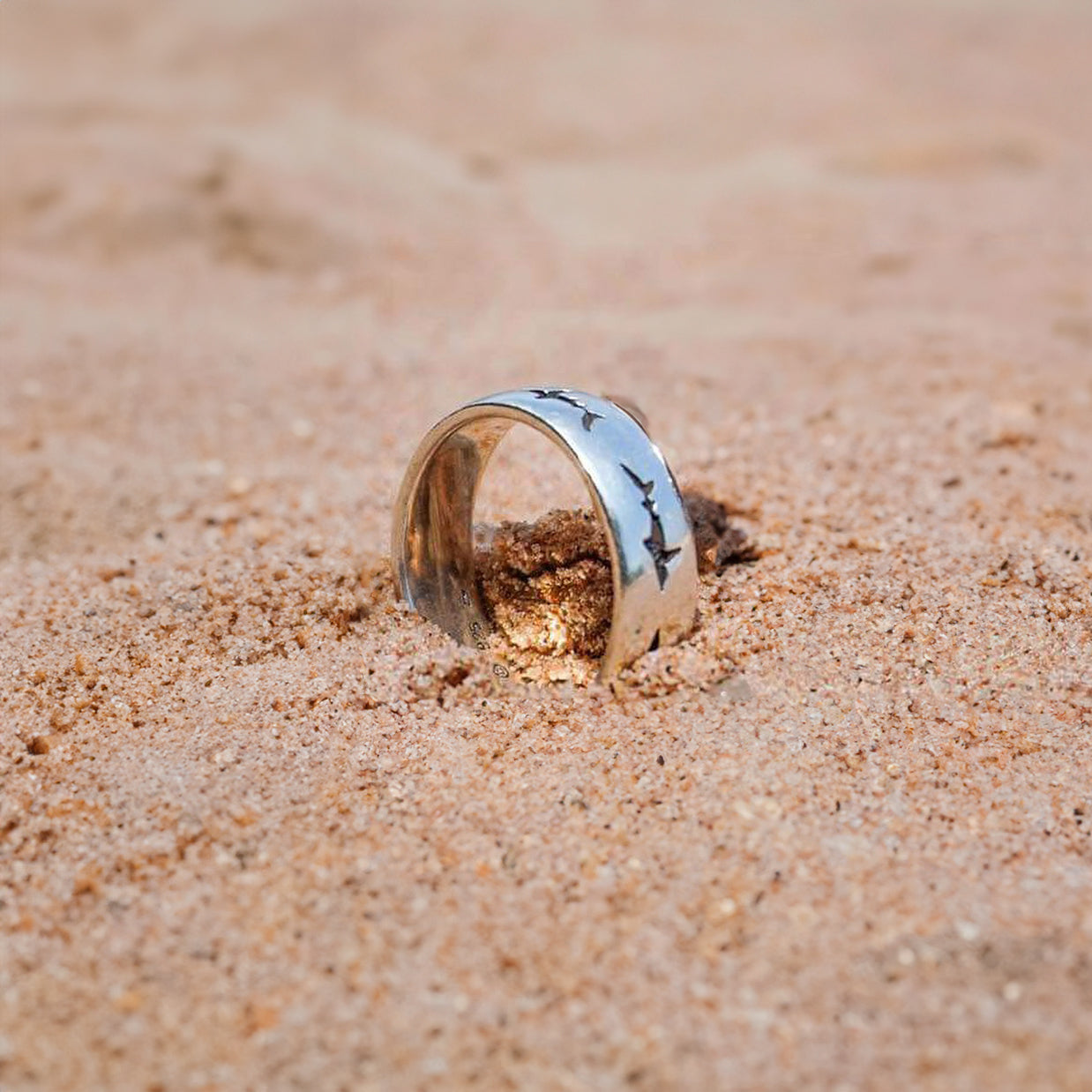 Shark School Sterling Silver Ring TR900