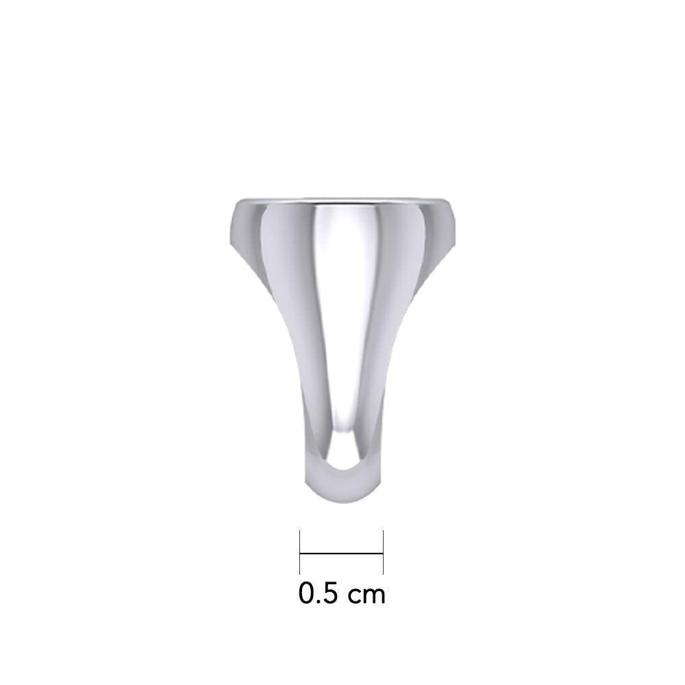 Recovery Silver Ring with Stone TRI2396 - peterstone.dropshipping