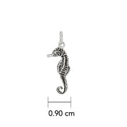 Seahorse Sterling Silver Charm TC563