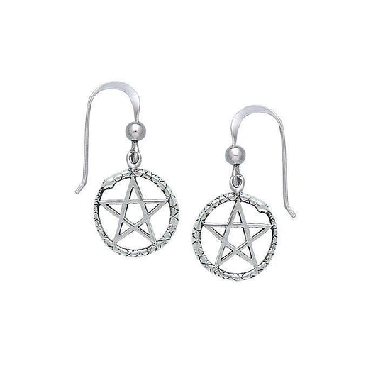 Silver The Star Earrings TE2894