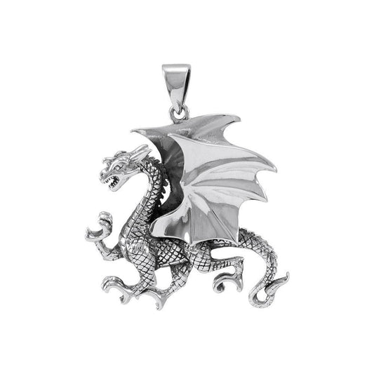 All geared and ready ~ Sterling Silver Jewelry Clawing Dragon Pendant TP1109 Pendant