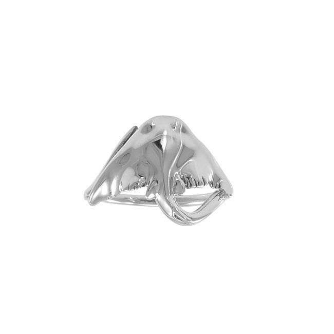 Ray Silver Ring TR1758 Ring